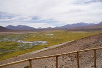 
DSC00247